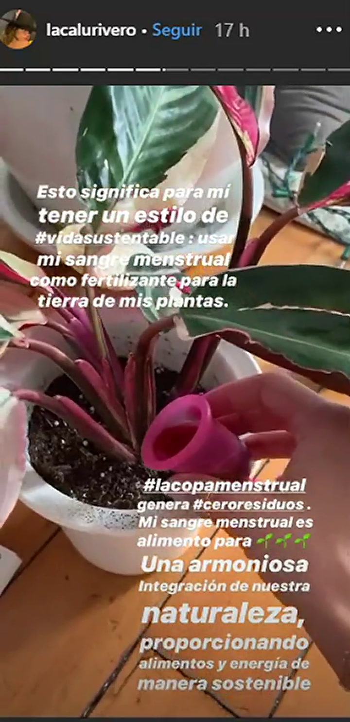 Calu Rivero riega las plantas con su copa menstrual - Fuente: Instagram