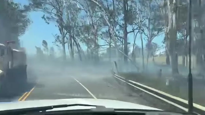 Roadside devastated by Hurricane Dora and wildfire in Hawaii