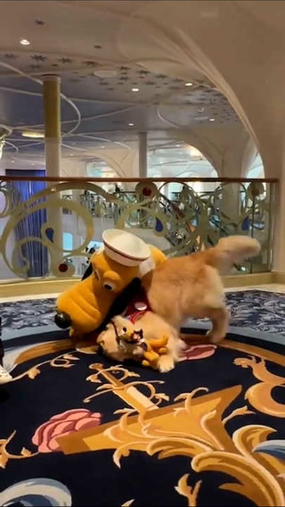 El emotivo momento en que un perro conoce a su mayor ídolo, el personaje de Disney 'Pluto'