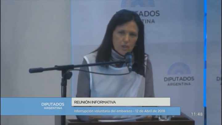 Claudia Piñeiro en el debate sobre el aborto - Fuente: YouTube