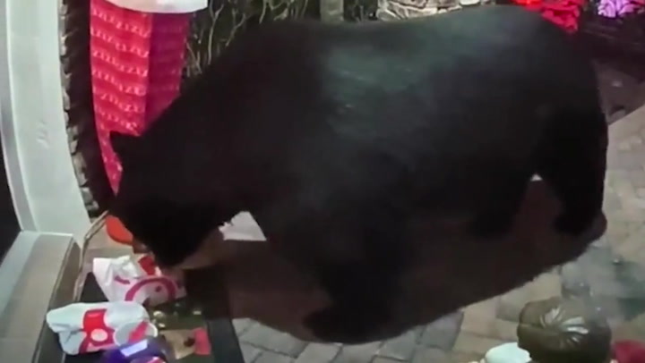 Hungry bear steals Chick-fil-A delivery from doorstep of family's Florida home