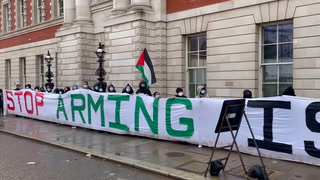 Watch: Palestine protesters occupy government department