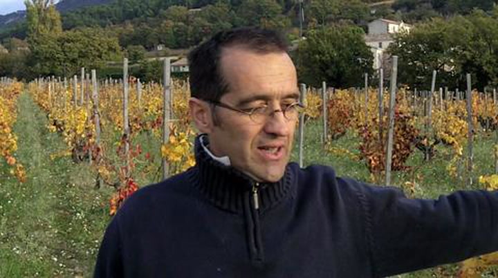 In the Vineyard with Louis Barruol
