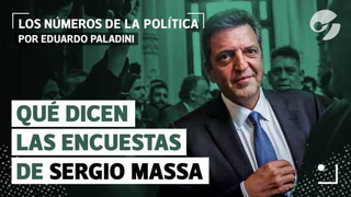 Sergio Massa en Economía: qué dicen las encuestas del nuevo ministro