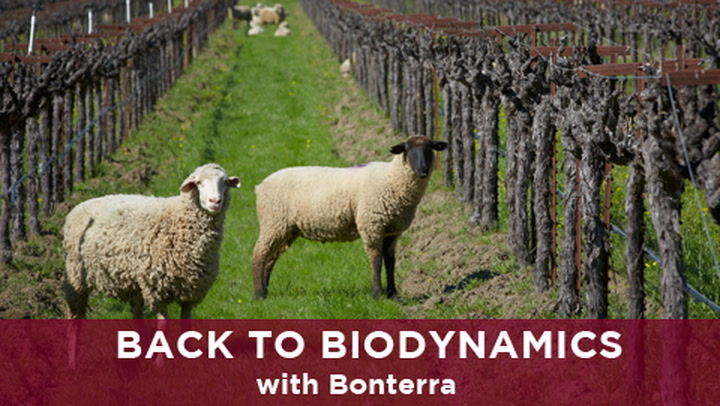 Back to Biodynamics with Bonterra