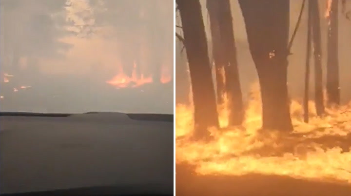 Chile: Forest Fire Rages In Araucanía Region Prompting Evacuation And Highway Closure