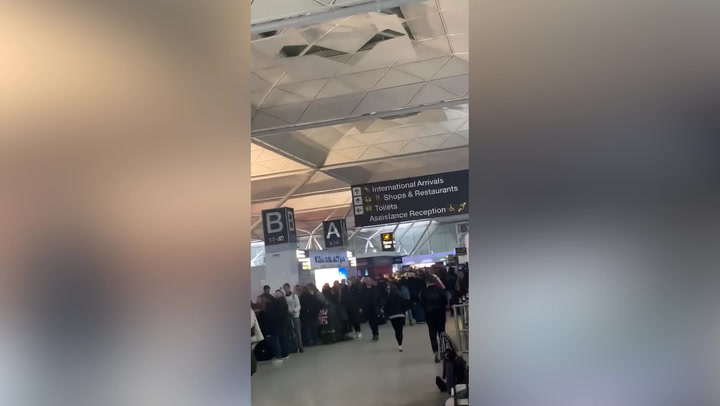 Stranded passengers at Stansted airport form meters long queue to help desk